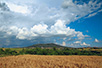 View of Avala (Photo: Dragan Bosnić)